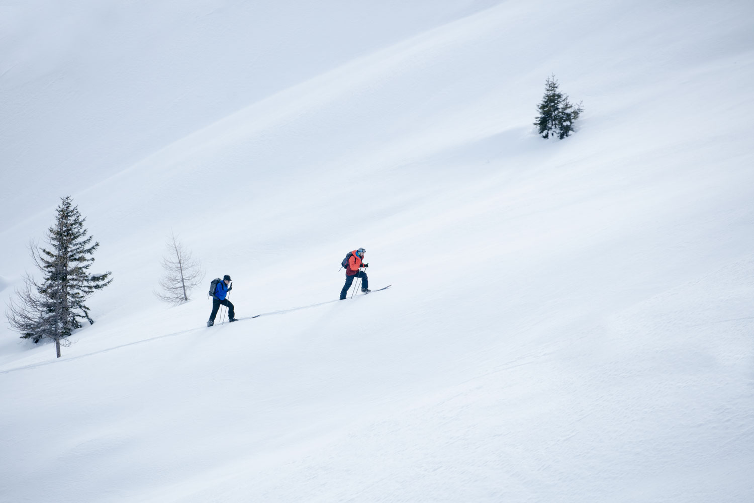 Occhiali Da Sci E Snowboard Alpland - Lenti Smoke/Silver Mirror, Antiappannamento, Protezione UV400, Leggeri Con Fascia Elastica