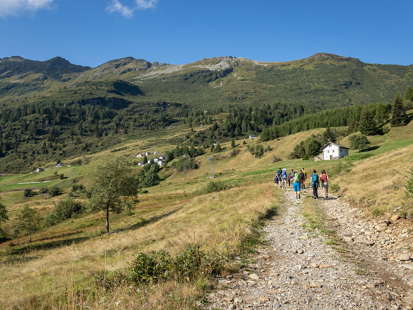 sentiero-alpe-gualdo