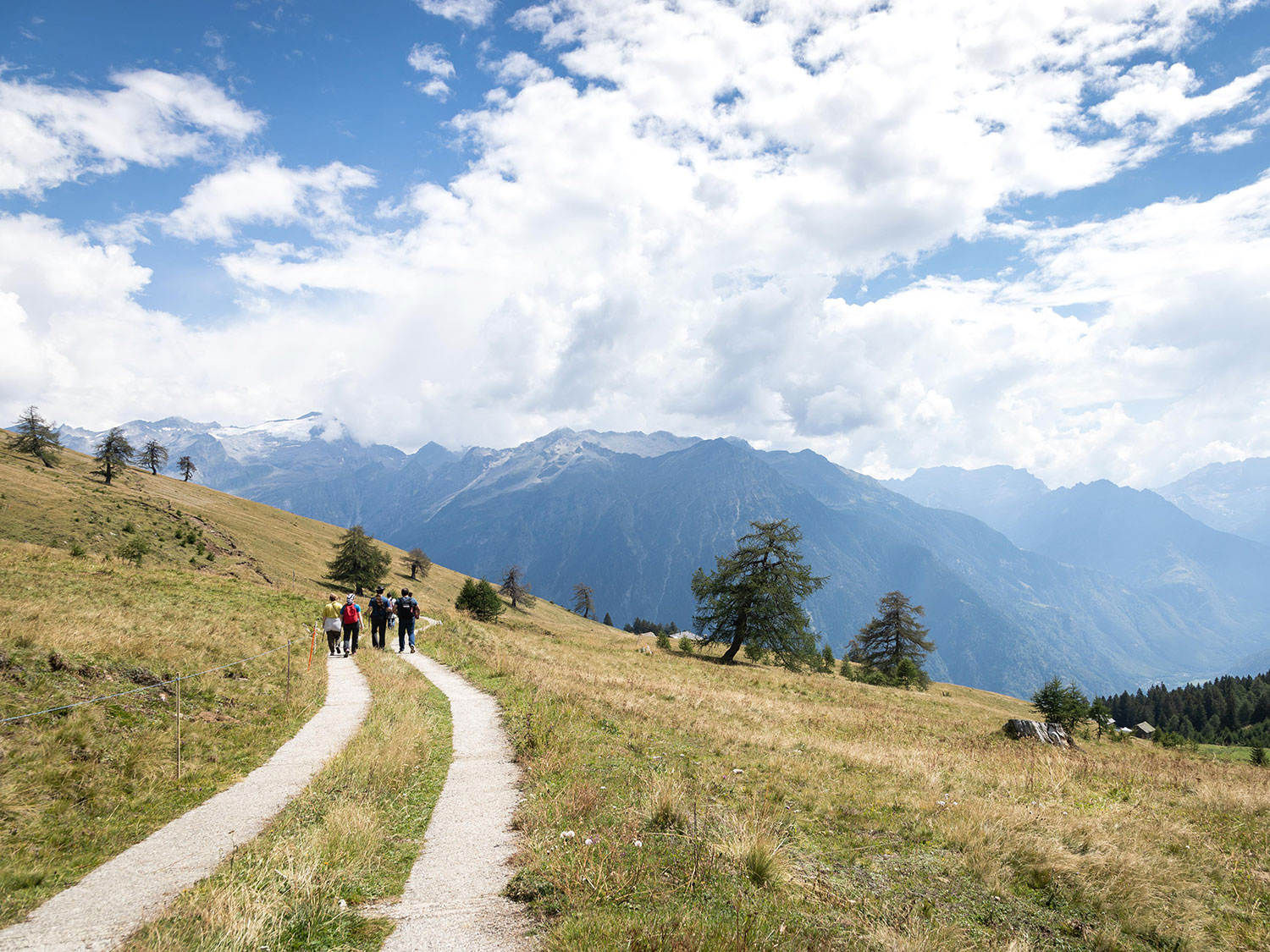 sentiero-gir-di-alp